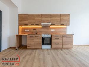 Pronájem bytu 2+kk, Plzeň - Jižní Předměstí, Karlova, 56 m2