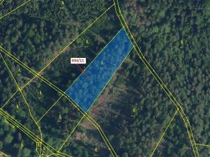 Dražba lesa, Jílové u Držkova, 3439 m2