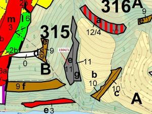 Dražba lesa, Hovězí, 2626 m2