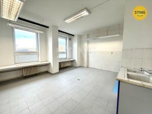 Pronájem skladu, Ostrava - Zábřeh, 480 m2