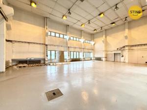 Pronájem skladu, Ostrava - Zábřeh, 480 m2