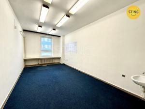 Pronájem skladu, Ostrava - Zábřeh, 480 m2