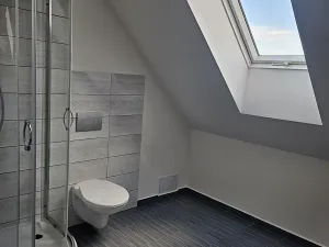 Pronájem bytu 1+kk, Český Těšín, Husova, 42 m2