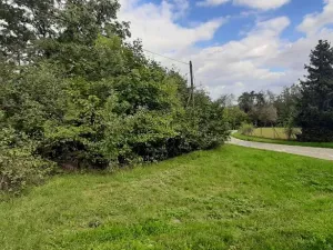 Prodej lesa, Mostkovice, 576 m2