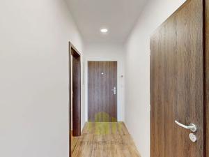 Pronájem bytu 1+kk, Olomouc, Camilla Sitteho, 27 m2