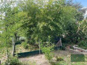 Prodej zahrady, Plzeň, Sluneční, 700 m2