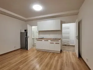Pronájem bytu 1+kk, Praha - Bubeneč, U zeměpisného ústavu, 26 m2