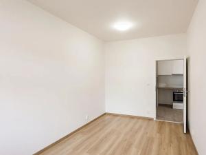 Pronájem bytu 2+1, Praha - Bubeneč, U zeměpisného ústavu, 46 m2