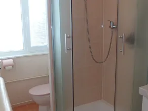 Pronájem bytu 3+1, Liberec, Dvorská, 60 m2