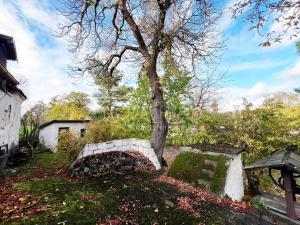 Prodej chalupy, Skvrňov, 95 m2