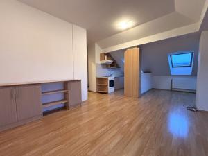 Pronájem bytu 2+kk, Plzeň - Jižní Předměstí, Krátká, 65 m2