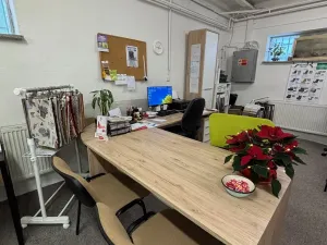 Pronájem skladu, Frýdek-Místek - Místek, Příborská, 272 m2