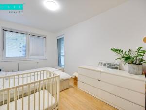 Pronájem bytu 2+kk, Olomouc, Eduarda Hamburgera, 62 m2