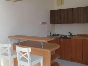 Pronájem bytu 1+kk, Praha - Vysočany, bratří Dohalských, 40 m2