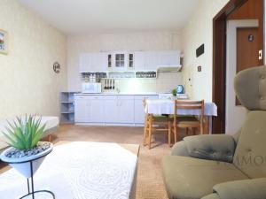 Pronájem bytu 2+kk, České Budějovice, K. Chocholy, 49 m2