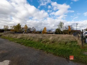 Prodej pozemku pro bydlení, Střížovice, 1041 m2