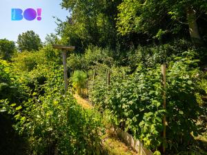 Prodej chalupy, Kájov - Staré Dobrkovice, 120 m2