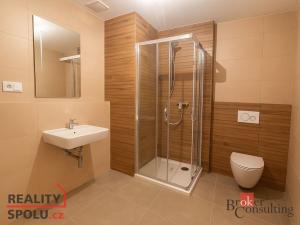 Pronájem bytu 1+kk, Plzeň - Jižní Předměstí, Měděná, 49 m2