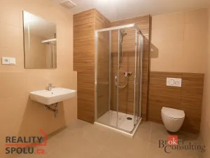 Pronájem bytu 1+kk, Plzeň - Jižní Předměstí, Měděná, 49 m2