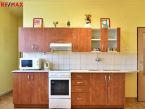 Pronájem bytu 3+kk, Rokytnice v Orlických horách - Nebeská Rybná, 66 m2