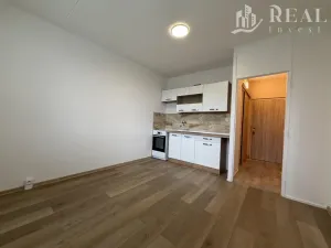 Pronájem bytu 1+1, Chomutov, Březenecká, 38 m2