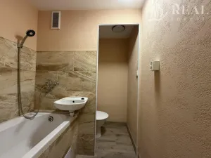 Pronájem bytu 1+1, Chomutov, Březenecká, 38 m2