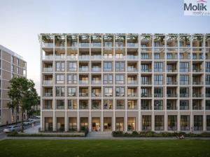 Prodej bytu 2+kk, Golem, 100 m2