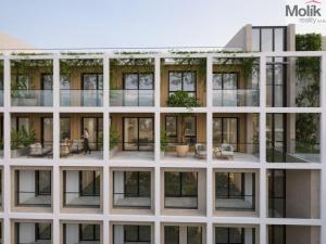 Prodej bytu 2+kk, Golem, 61 m2