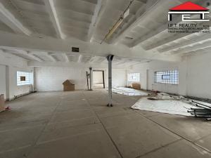 Pronájem výrobních prostor, Frýdek-Místek, Pionýrů, 300 m2