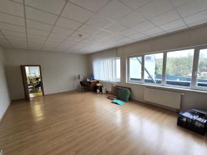 Pronájem výrobních prostor, Brno, Franzova, 785 m2