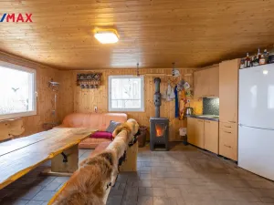 Prodej komerční nemovitosti, Mladé Buky - Kalná Voda, 170 m2