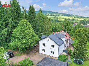 Prodej komerční nemovitosti, Mladé Buky - Kalná Voda, 170 m2