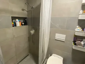 Prodej rodinného domu, Bystřice pod Hostýnem, Přerovská, 420 m2