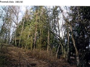 Prodej lesa, Kamenice nad Lipou, 5521 m2