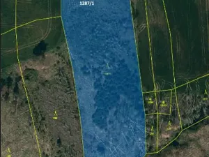 Prodej lesa, Vladislav, 11904 m2