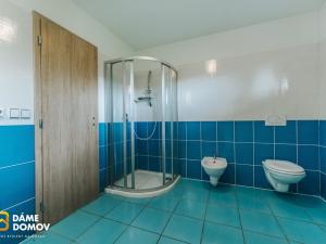 Prodej rodinného domu, Pohořelice, Školní, 350 m2