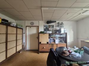 Pronájem výrobních prostor, Světice, V Zahradách, 250 m2