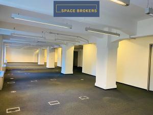Pronájem kanceláře, Praha - Holešovice, Jankovcova, 620 m2