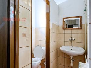 Prodej ubytování, Deštné v Orlických horách, 550 m2