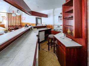 Prodej ubytování, Deštné v Orlických horách, 550 m2