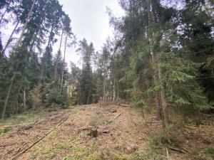 Prodej lesa, Srbice - Těšovice, 3279 m2