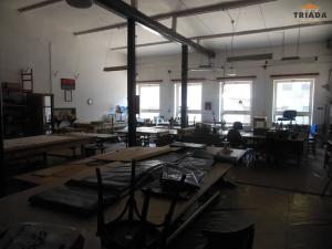 Prodej výrobních prostor, Stružinec, 10029 m2