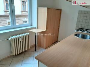 Prodej bytu 2+1, Ústí nad Labem - Ústí nad Labem-centrum, Horova, 50 m2