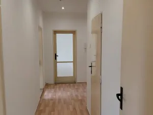 Pronájem bytu 3+1, Ostrov, Lidická, 74 m2