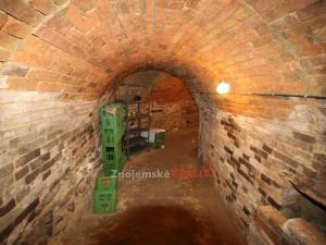 Prodej vinného sklepa, Šatov, 41 m2