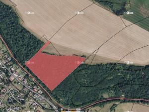 Prodej lesa, Prosečné, 33835 m2