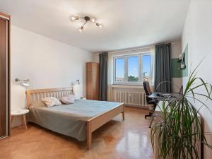 Prodej bytu 2+kk, Praha - Žižkov, Křivá, 53 m2