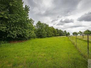 Prodej zemědělské usedlosti, Řepníky, 230 m2