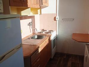 Pronájem bytu 1+1, Most, Růžová, 26 m2