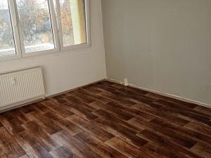 Pronájem bytu 1+1, Most, Růžová, 26 m2